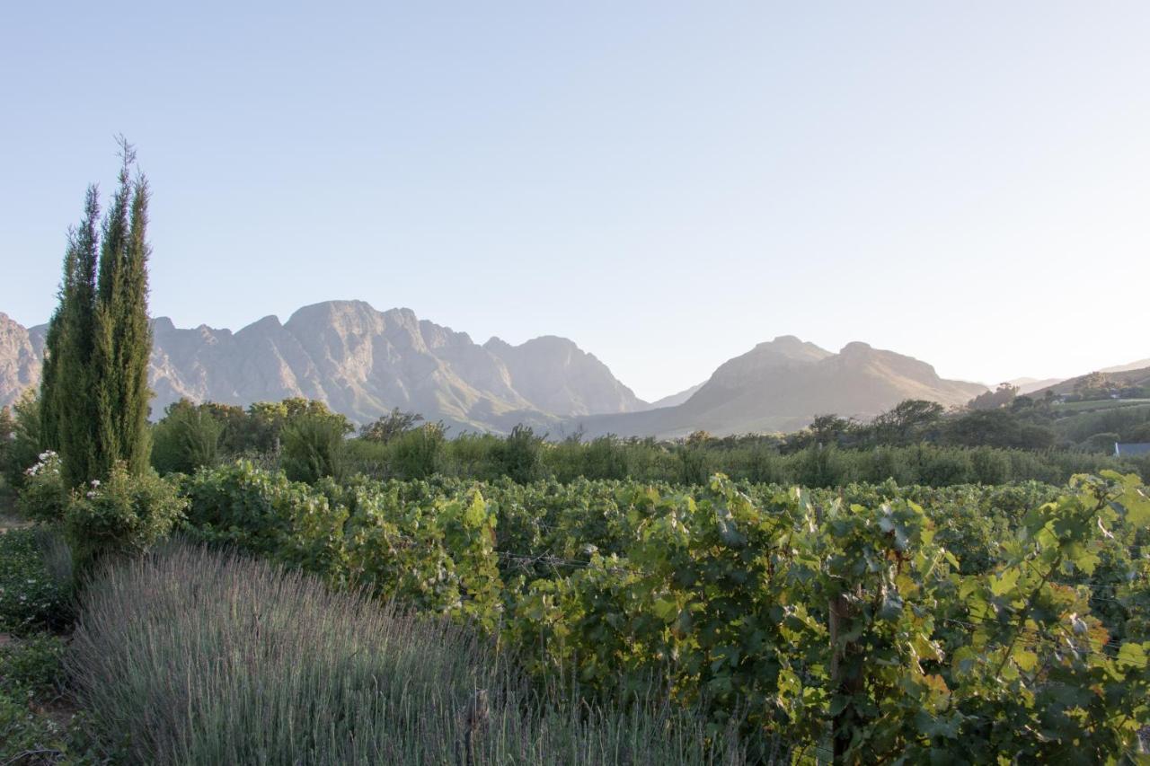 La Cle Lodge Franschhoek Ngoại thất bức ảnh